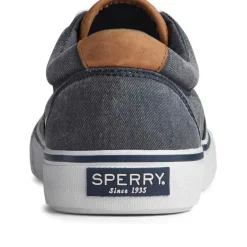 Chaussures Vulcanisée Pour Homme STRIPER II CVO - Coton gris