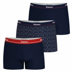 Lot de 3 boxers Chic bleu pour homme