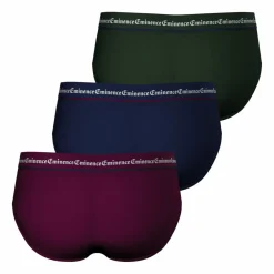 Lot de 3 slips Business en coton pour homme