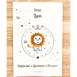 Mon Coffret Accessoire Astro Lion