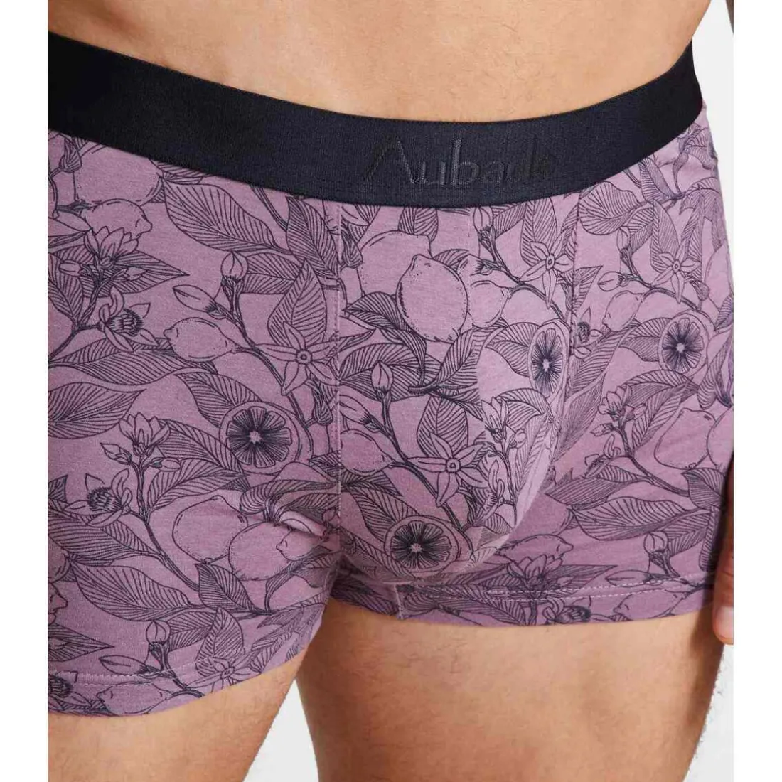 Pack de 2 Boxers Homme - Violet Aubade Men en coton