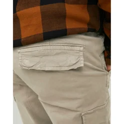 Pantalon cargo Carrot Fit Gris beige en coton