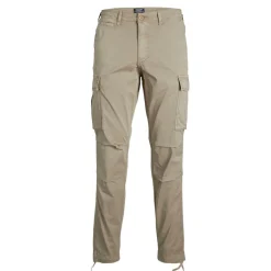 Pantalon cargo Carrot Fit Gris beige en coton