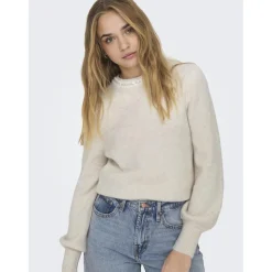 Pull en maille col rond col rond gris clair Fern