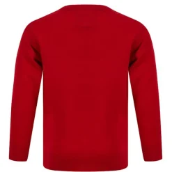 Pull Garçon Noel REINDEER rouge