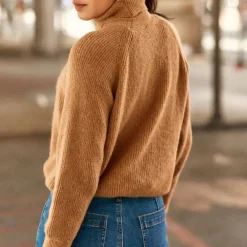 Pull MONA camel