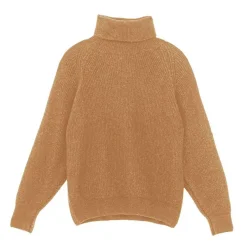 Pull MONA camel