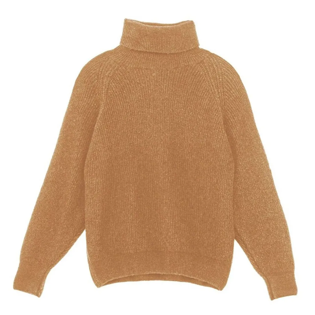 Pull MONA camel