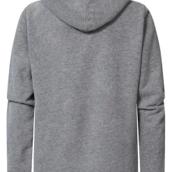Sweat à capuche garçon gris clair en coton