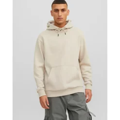Sweat à capuche Relaxed Fit Manches longues Gris Clair Reece