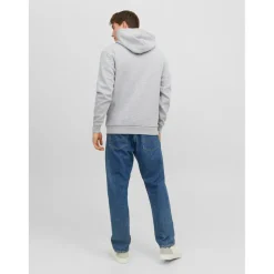 Sweat à capuche Relaxed Fit Manches longues Gris Clair Ryan