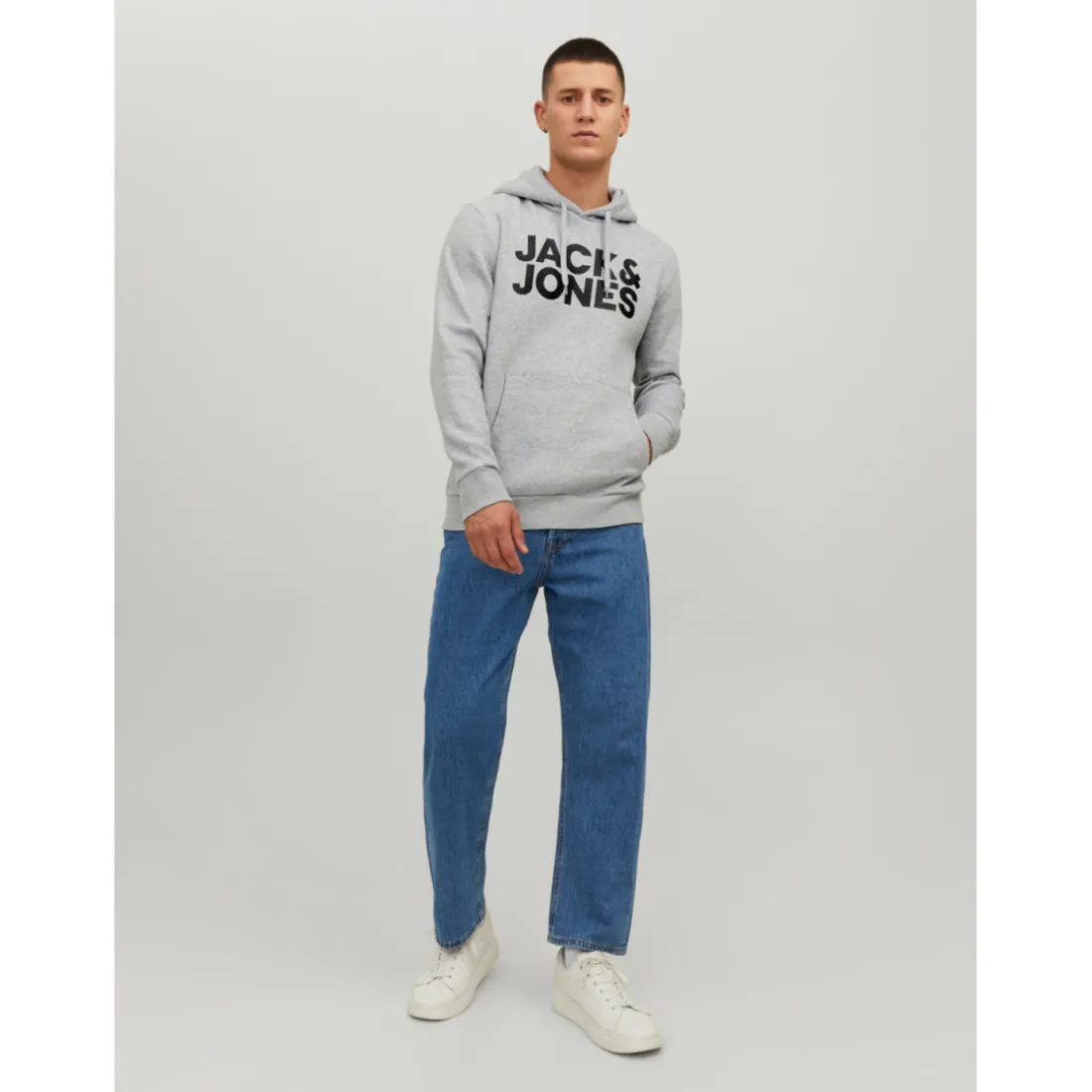 Sweat à capuche Standard Fit Manches longues Gris Clair Vince