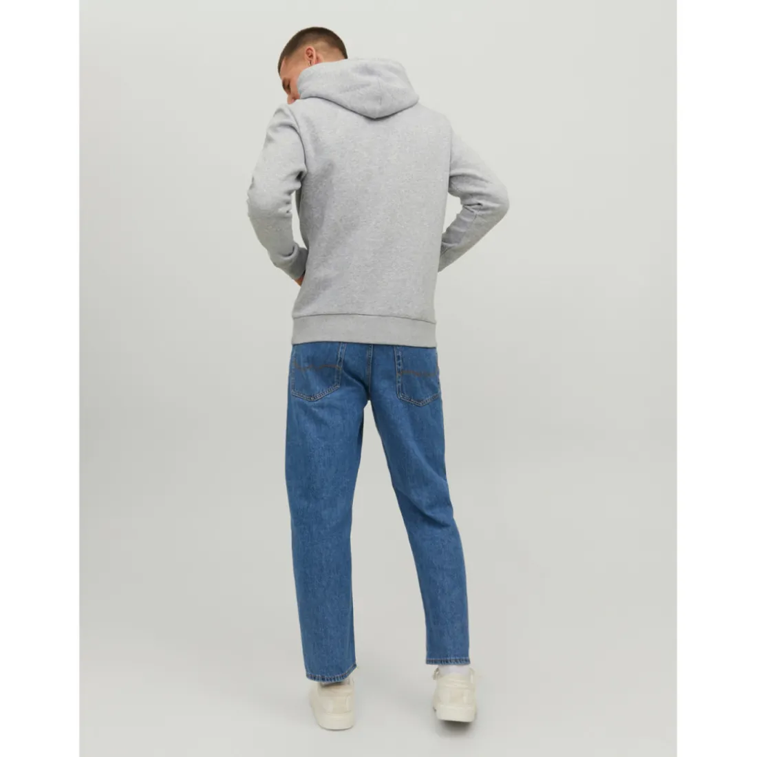 Sweat à capuche Standard Fit Manches longues Gris Clair Vince