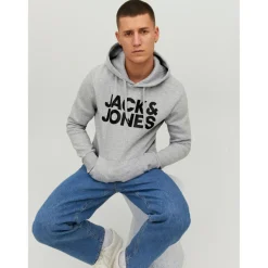 Sweat à capuche Standard Fit Manches longues Gris Clair Vince
