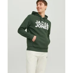 Sweat à capuche Standard Fit Manches longues Vert foncé Remy