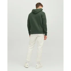 Sweat à capuche Standard Fit Manches longues Vert foncé Remy