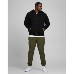 Sweat à capuche zippé Regular Fit Manches longues Noir en coton Troy