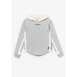 Sweat-Shirt capuche garçon COLORABO gris
