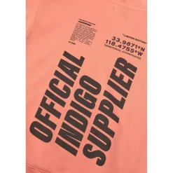 Sweat-Shirt capuche garçon HISABO orange en coton
