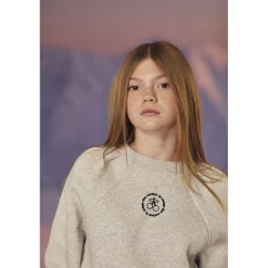 Sweat-Shirt fille capuche COBYGI gris en coton