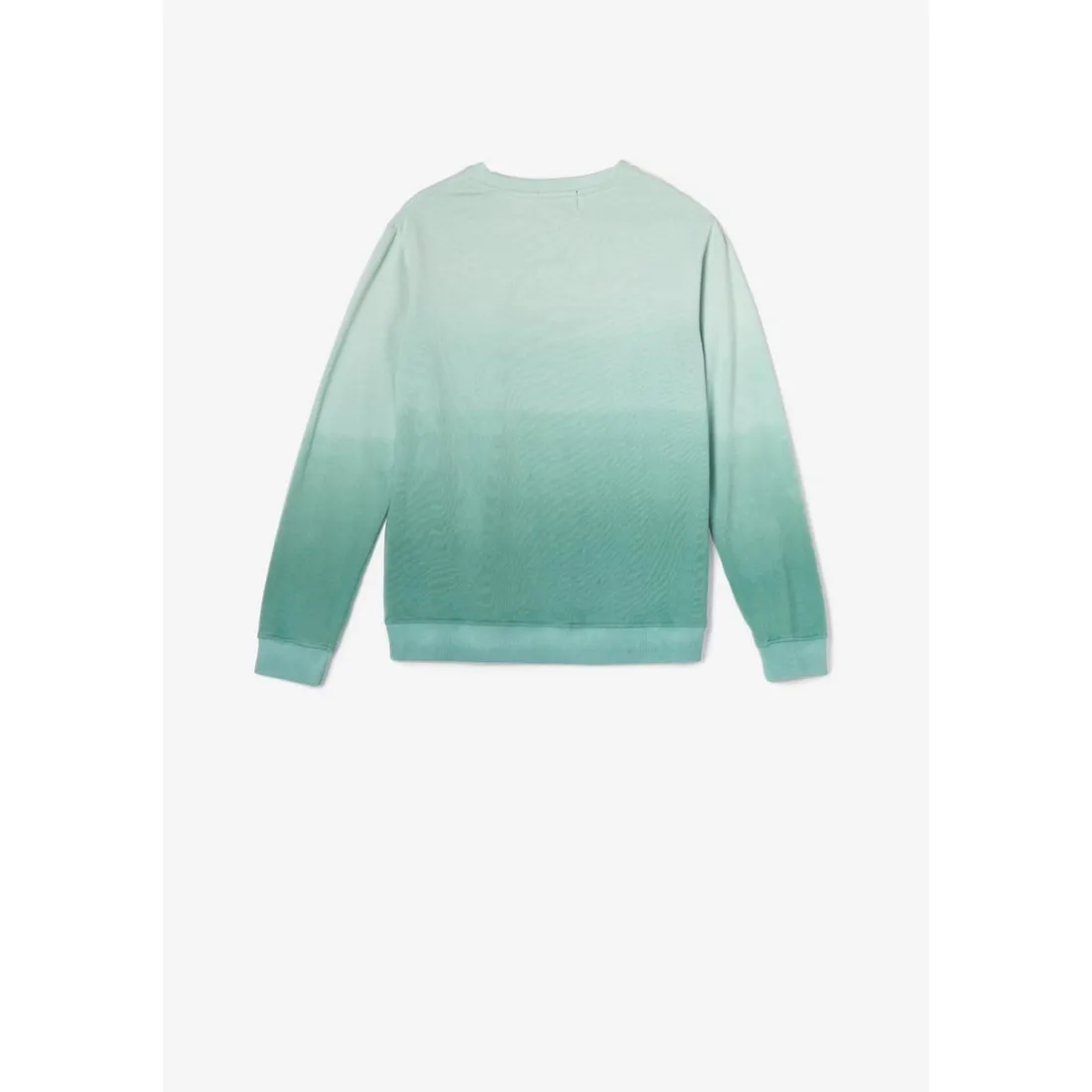 Sweat-Shirt garçon VENICEBO vert