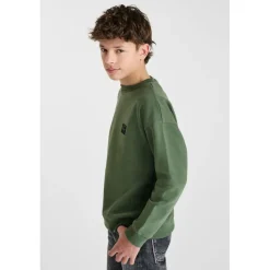 Sweat-Shirt PIPOBO vert en coton Zed