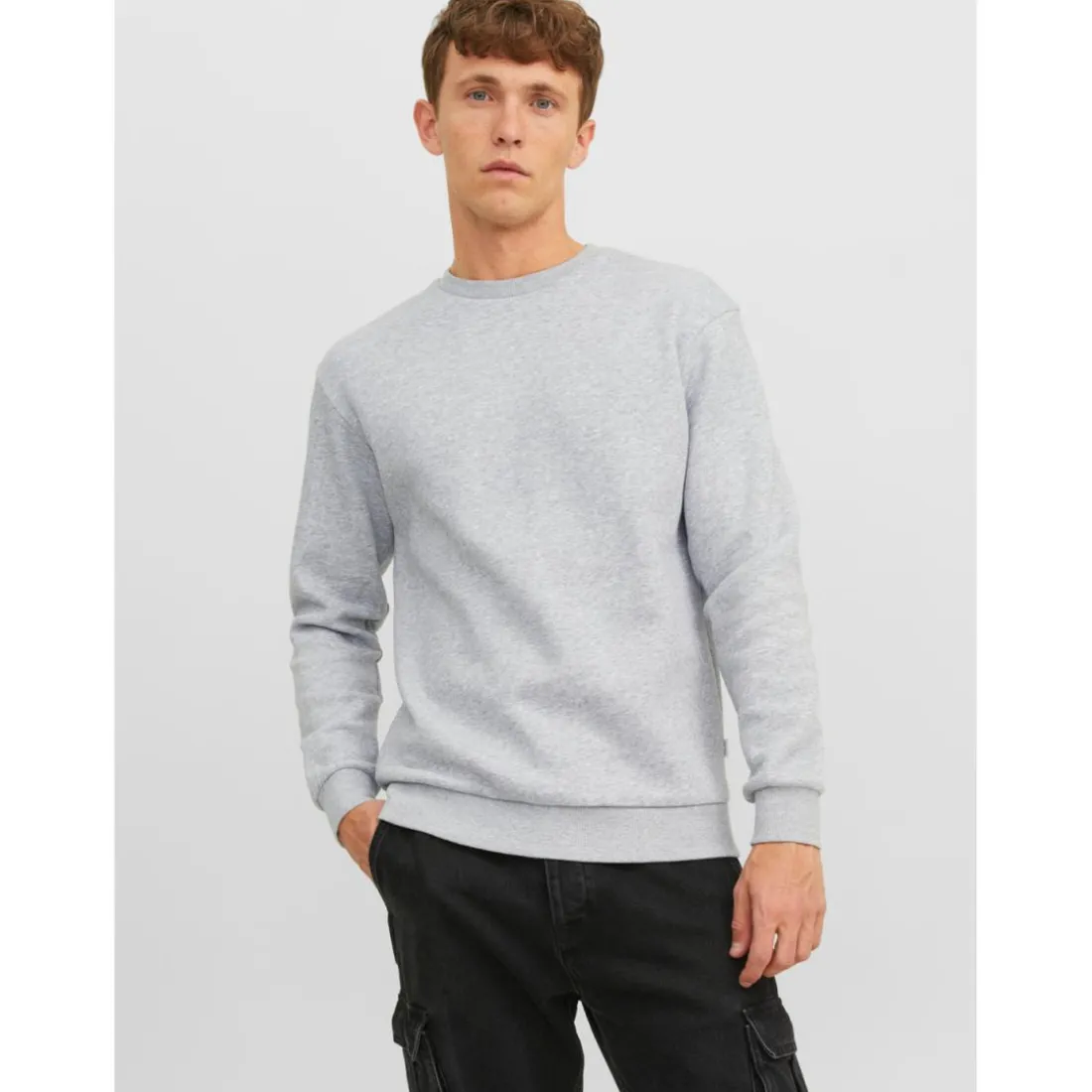Sweat-shirt Relaxed Fit Col ras du cou Manches longues Gris Clair Wade