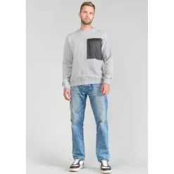 Sweat-Shirt STIPA gris en coton