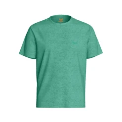 Tee Shirt Manches Courtes en coton PACCO Mentho menthe
