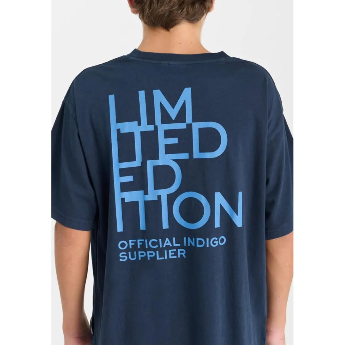 Tee-Shirt garçon ARIBO bleu Ian en coton