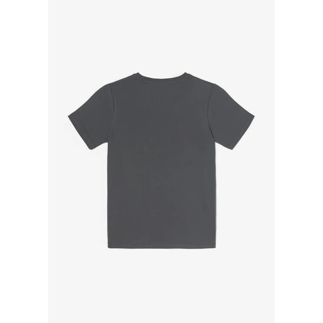 Tee-shirt garçon ATOBO gris en coton