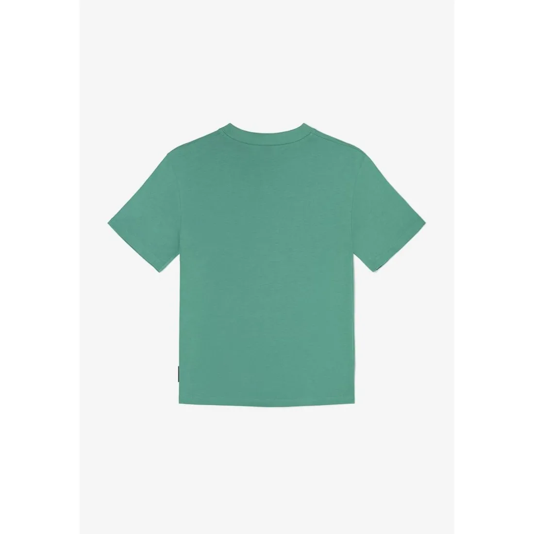 Tee-shirt garçon COZNERBO vert