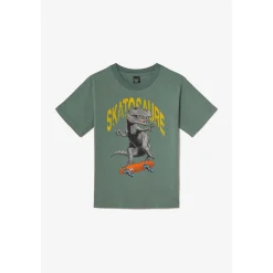Tee-shirt garçon KARIABO gris en coton